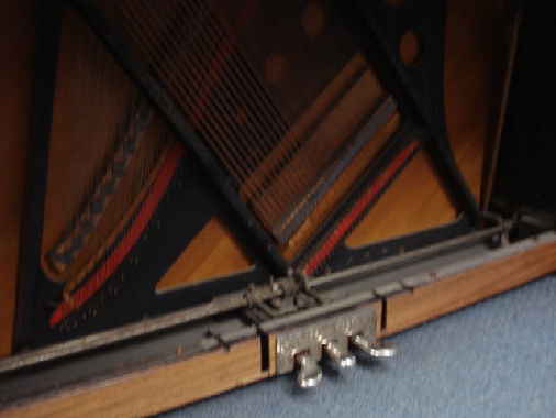Player bellows removed Player bellows removed
